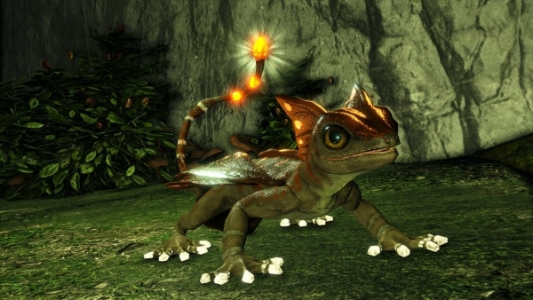 lantern_lizard